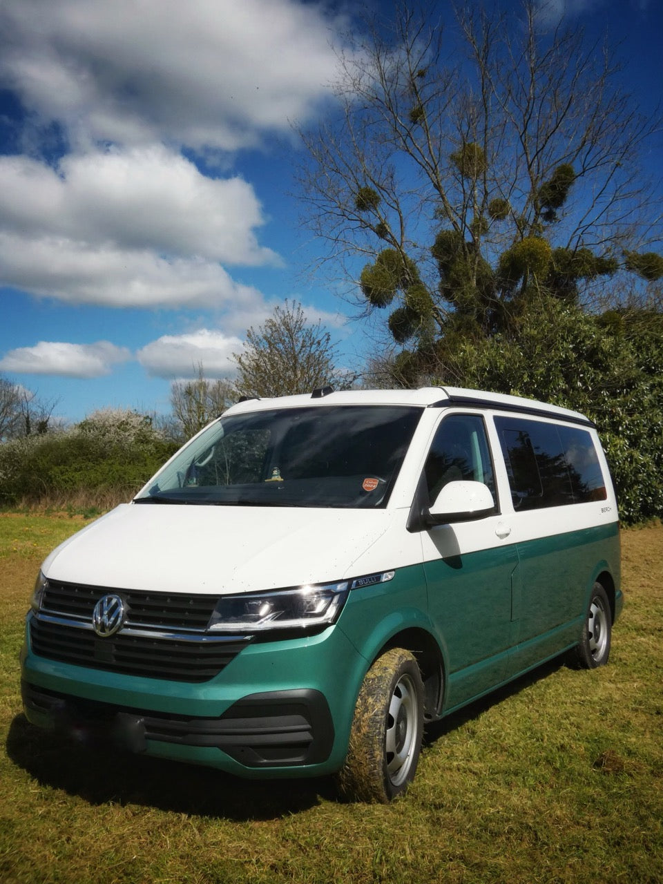 Volkswagen T6.1 CALIFORNIA Beach Camper Bulli 2023